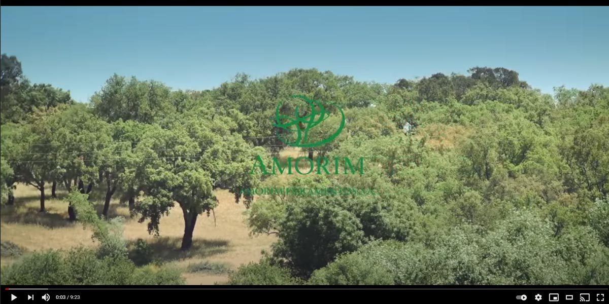 Video istituzionale Amorim sulla filera del sughero espanso CORKPAN