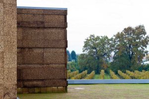 La cantina immersa nel vigneto