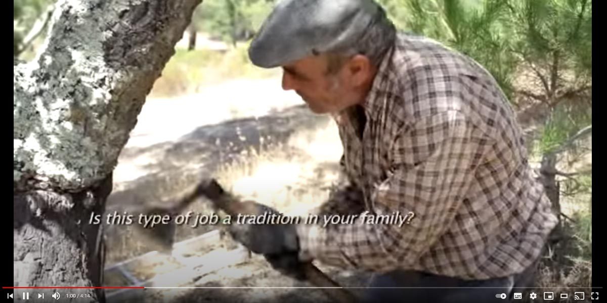 Video della decortica del sughero in portogallo