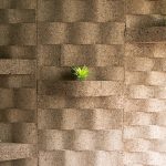 corkwave-1