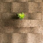 Il sughero per rivestimento interno Corkwave è distribuito da Tecnosugheri