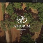 La filiera e la storia del sughero raccontate da Amorim in questo video