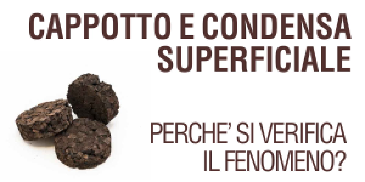 L'approfondimento tecnico è dedicato alla formazione di condensa sullo strato superficiale del cappotto termico