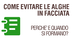 Approfondimento tecnico dedicato alla formazione delle alghe in facciata